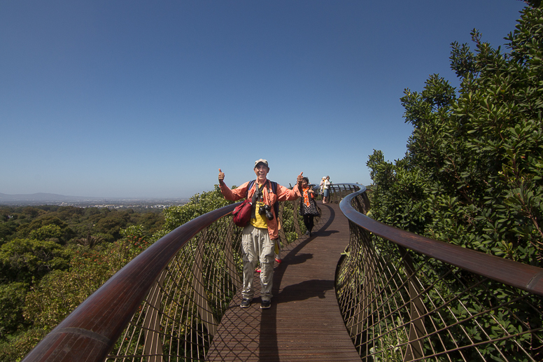 boomslang